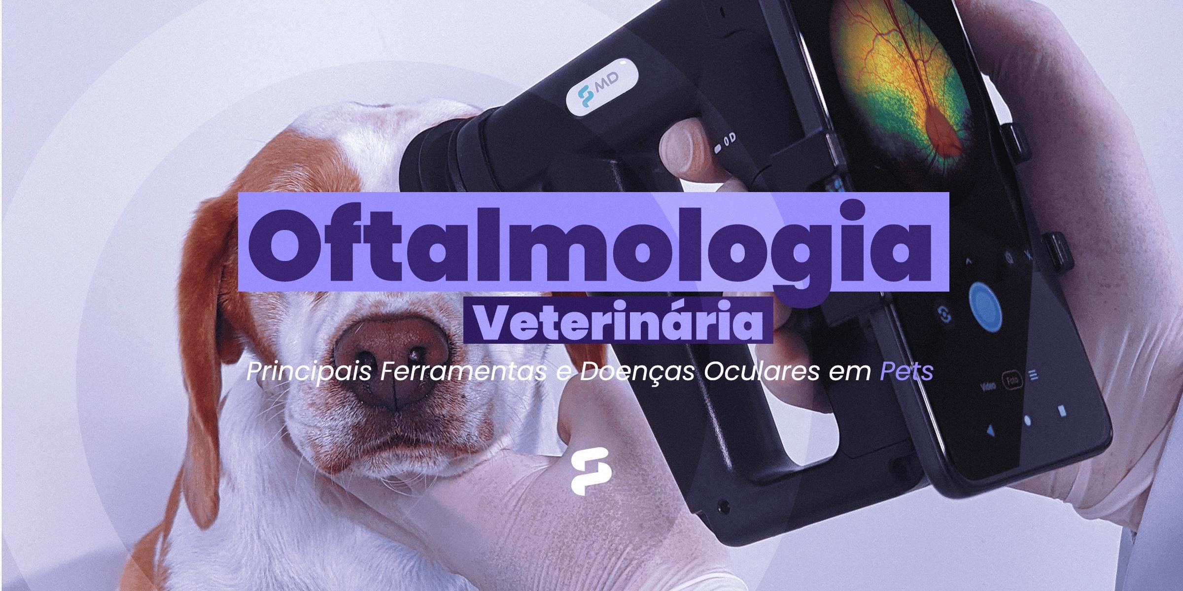 Oftalmologia Veterinária: Principais Ferramentas e Doenças Oculares em