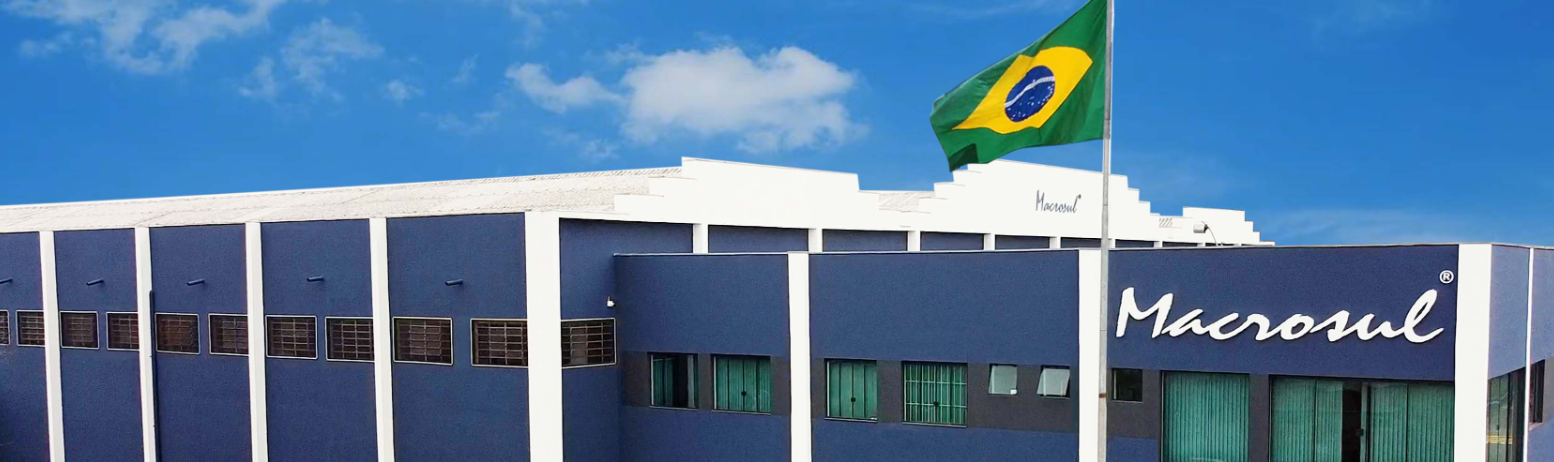 Macrosul